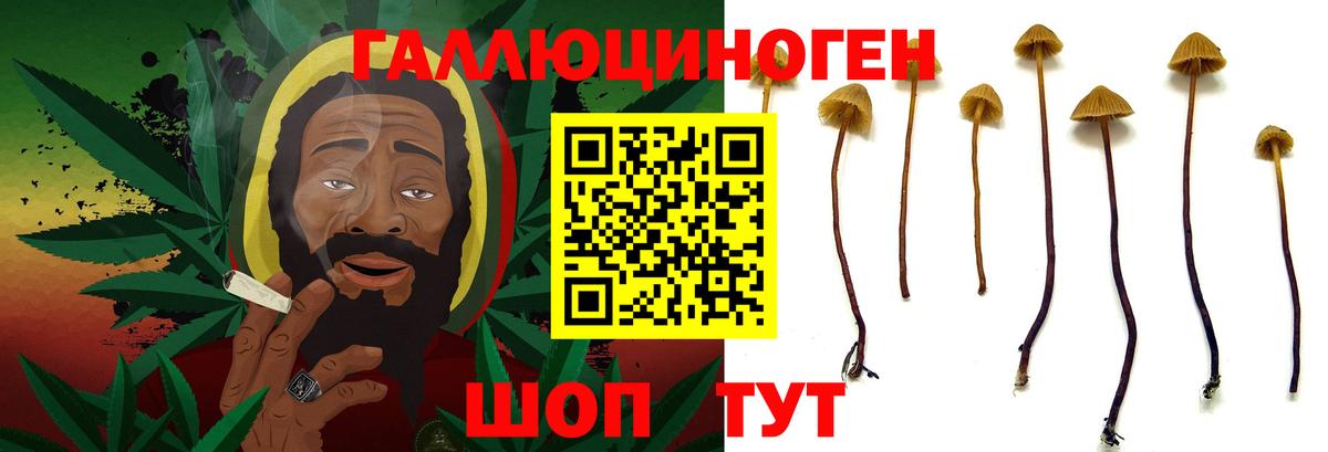 купить  сайты  Галлюциногенные грибы мухоморы  Вход с VPN  Десногорск 